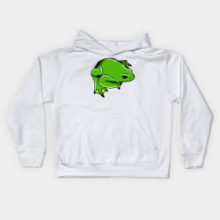 Frog Kids Hoodie